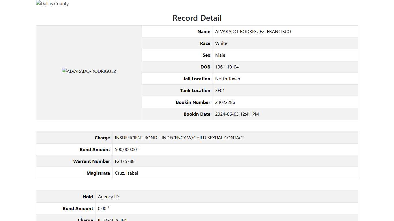 Dallas County Online Jail Search